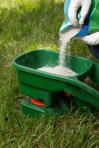 lawn care