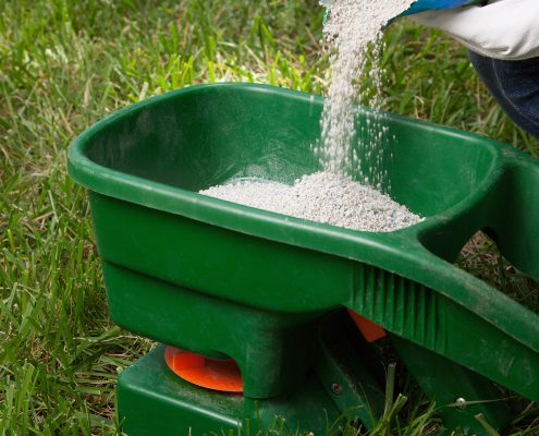 lawn care