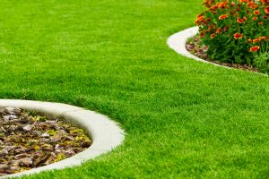 Well-maintained green lawn with decorative white stone borders.
