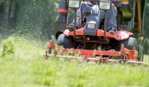 lawn care services