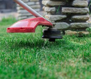 A red robotic lawn mower trimming grass near a stone wall.