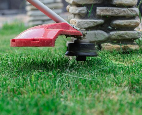 A red robotic lawn mower trimming grass near a stone wall.