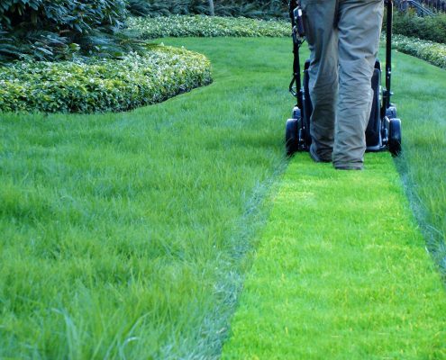 Person marking grass with blue spray paint for landscaping.