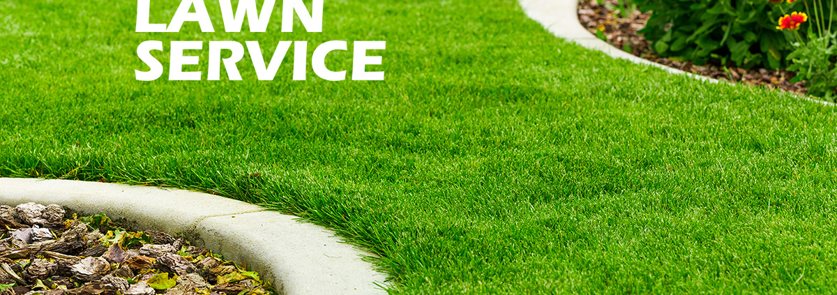 Lawn Services Milwaukee County
