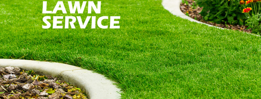Lawn Services Milwaukee County